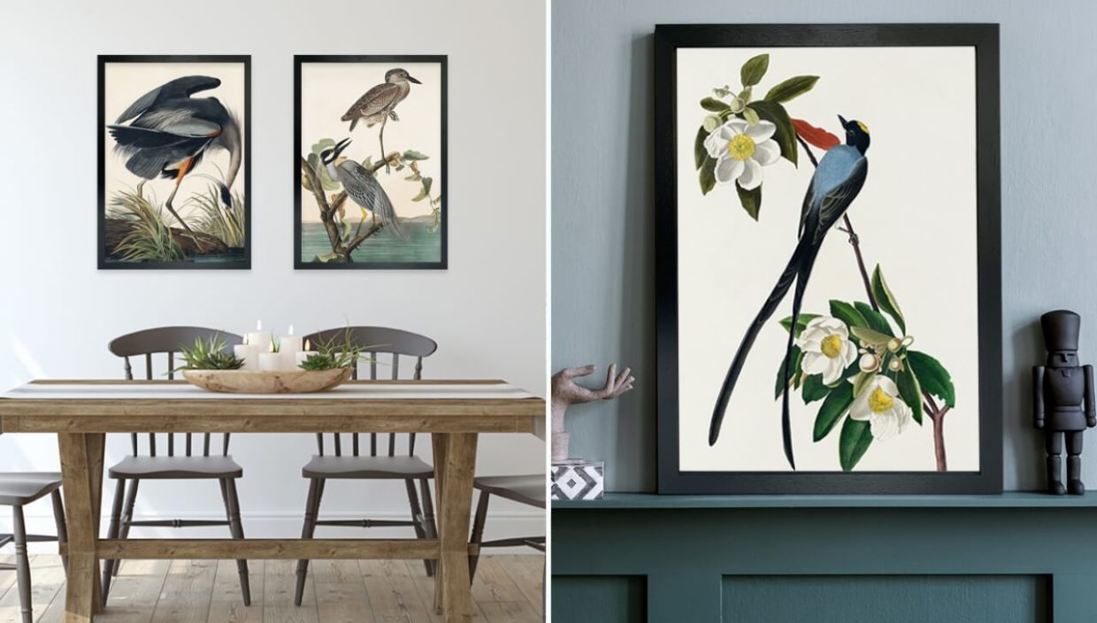 Bird posters in living rooms