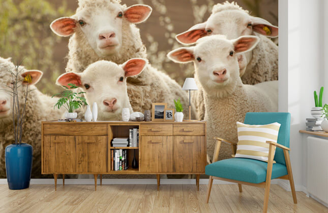 Papel pintado de ovejas