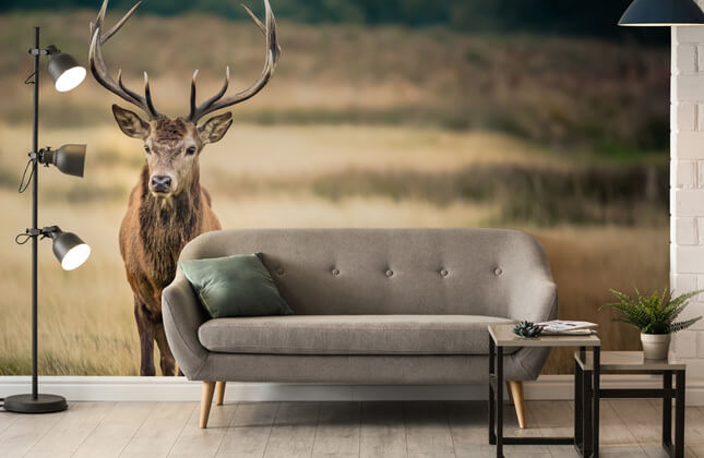Stag Wallpaper & Deer Wallpaper | Wallsauce UK