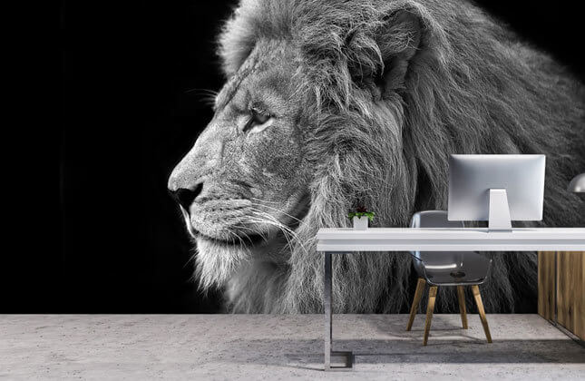 Lion Wallpaper & Wall Murals | Wallsauce CA Lion Wallpaper & Wall Murals | Wallsauce CA