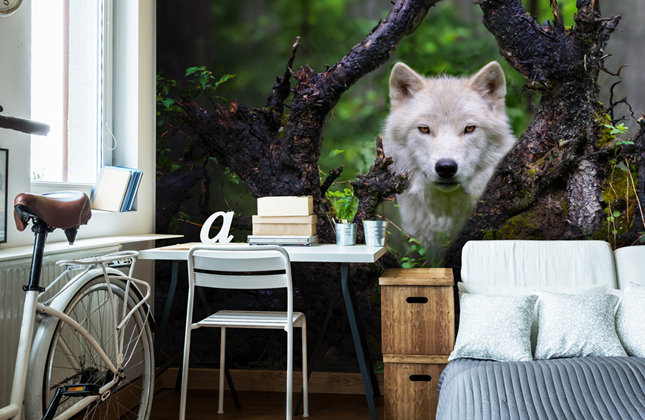 Animal Baggrund