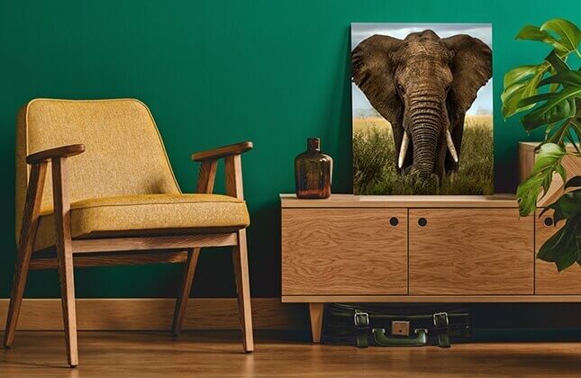 Animal Metal Prints