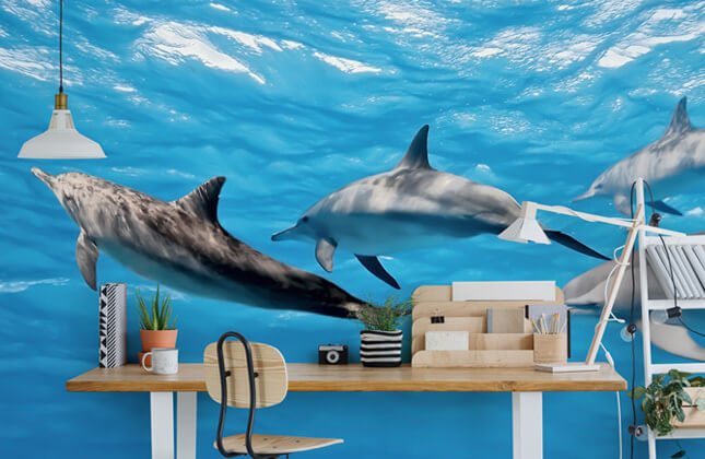 Dolphin Wallpaper & Wall Murals | Wallsauce AU Dolphin Wallpaper & Wall Murals | Wallsauce AU