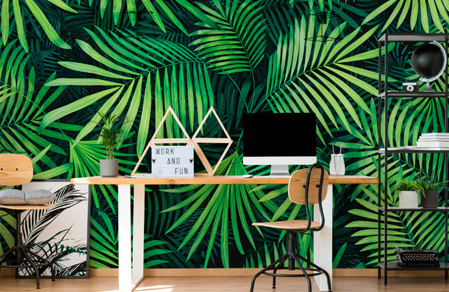 Free Green Wallpaper Downloads 1400 Green Wallpapers for FREE Wallpaperscom