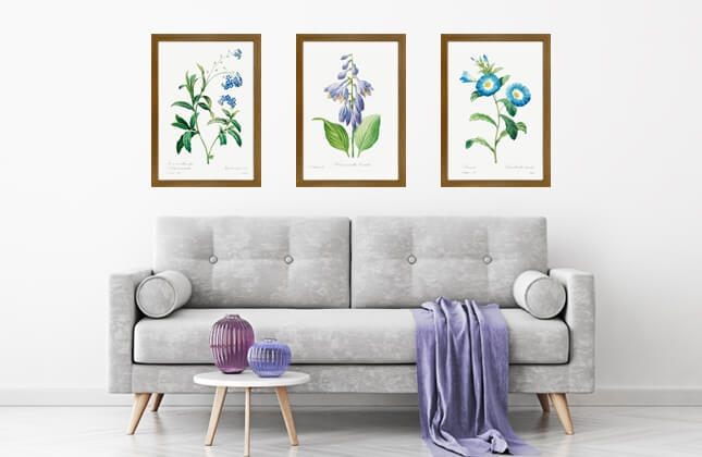 Floral Prints by Pierre-Joseph Redouté