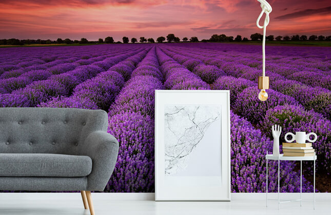 Landscape Wallpaper & Wall Murals | Wallsauce UK Landscape Wallpaper & Wall Murals | Wallsauce UK