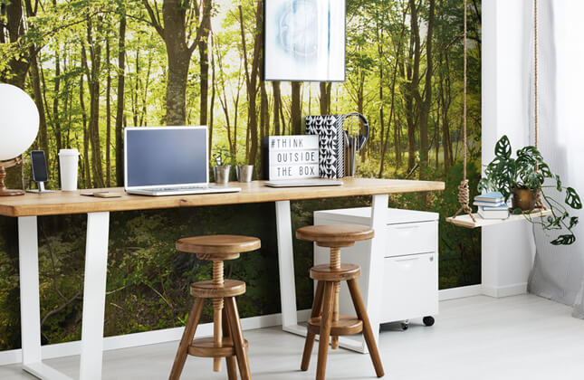 Forest Wallpaper & Tree Wallpaper Murals