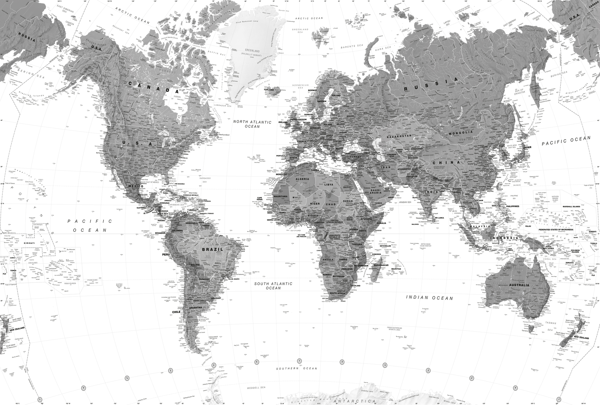 World Map Monochrome Wall Mural Wallsauce Us