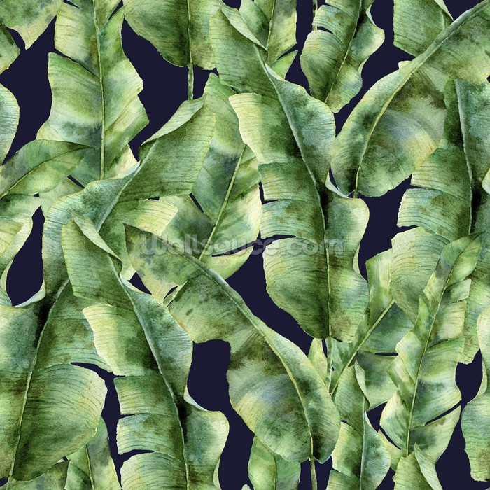 Tropical Banana  Leaf  Palm Tree Wallpaper  Wallpaper  