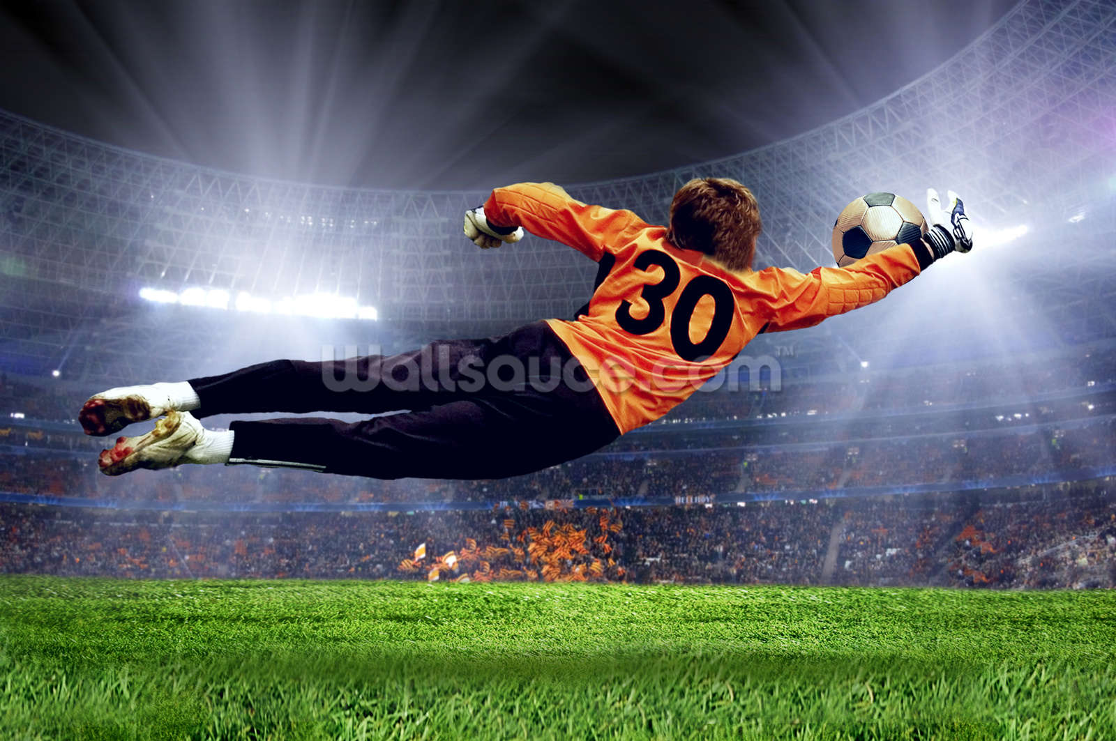 Goalkeeper Making A Save Wall Mural Wallsauce USA