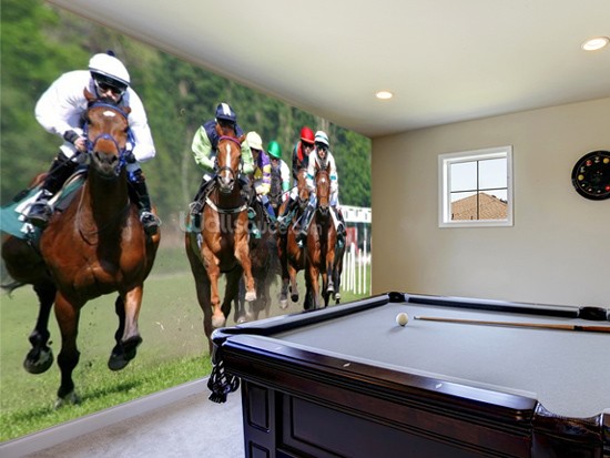 horse racing wallpaper murals