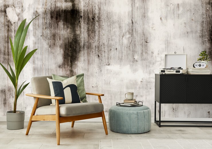 Grungy plaster wall mural in living room