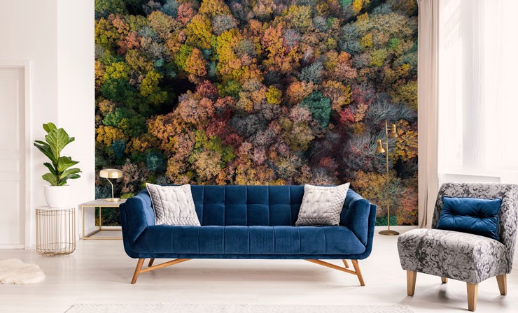 colourful autumnal wood aerial view in stylish lounge