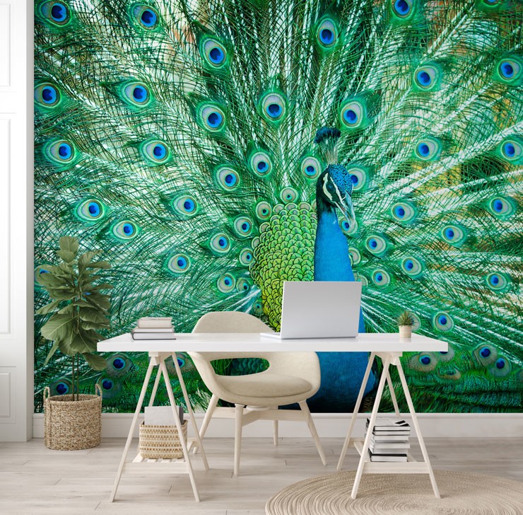 14 Peacock Wallpaper Designs [Worth Shaking Your Feathers For] | Wallsauce  UK