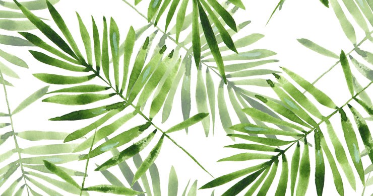 Tropical Wallpaper: Get The Jungle Look | Wallsauce UK