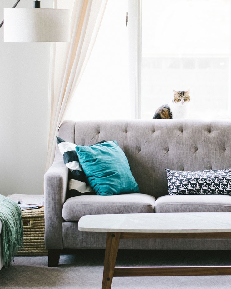 Pale curtains in small light room