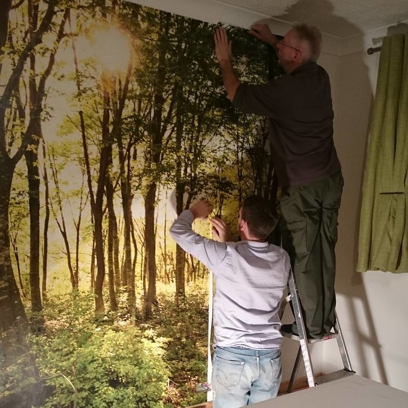 customer installing forest wallpaper