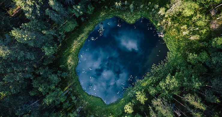 aerial view of forest and pond wallpaper