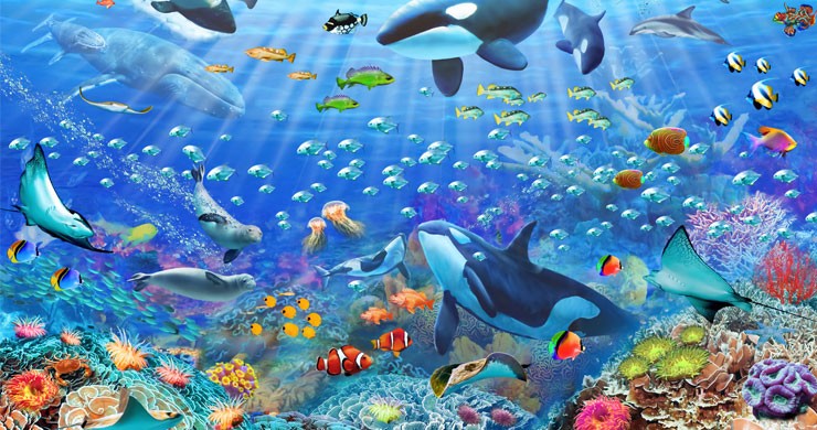 colourful sea life ocean wallpaper