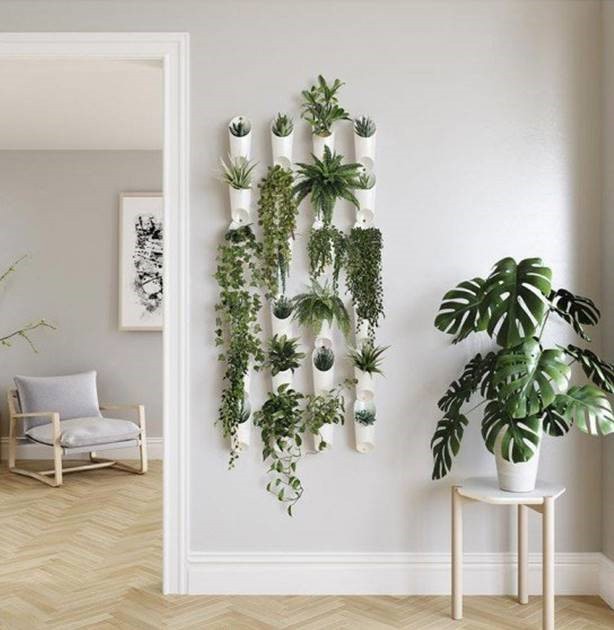 plants on feature wall in living room