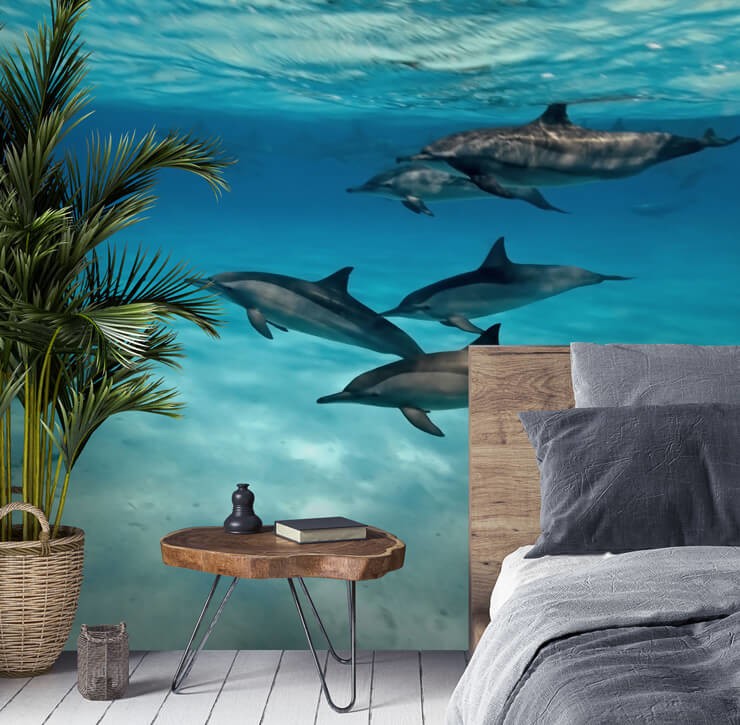 dolphins in ocean wallpaper in grey bedroom