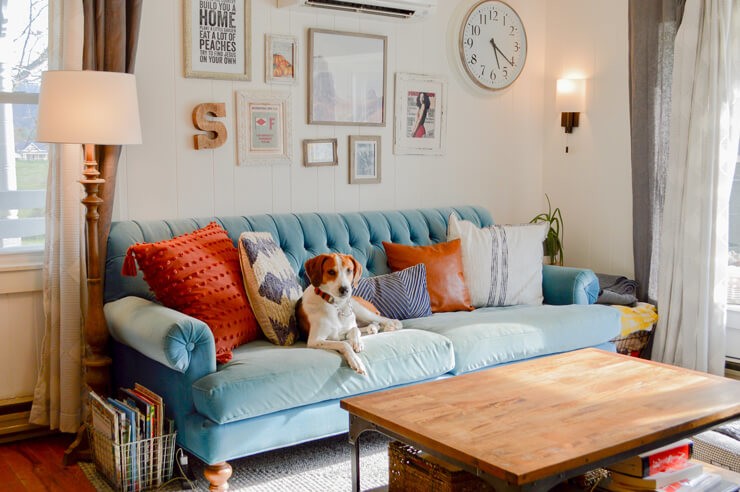 blue couch with dog in rustic living room