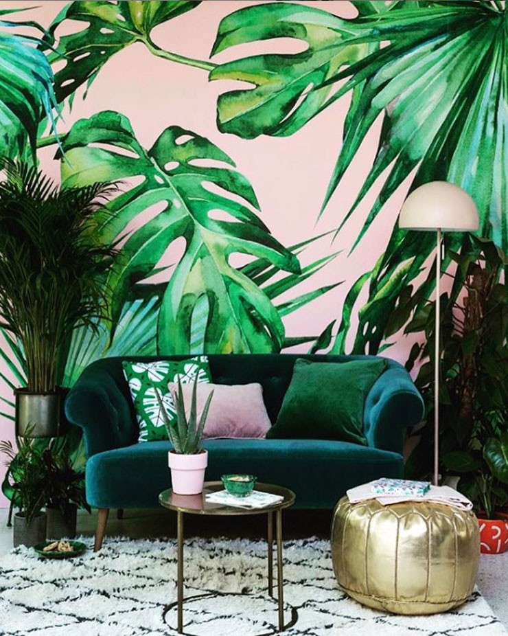 palm leaf pink wallpaper in stylish modern room