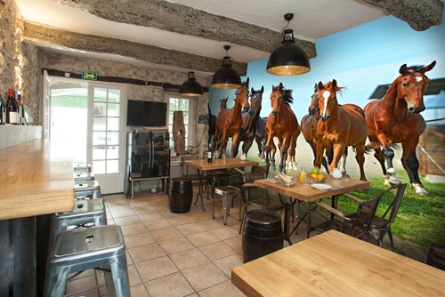 brown horse herd in cafe
