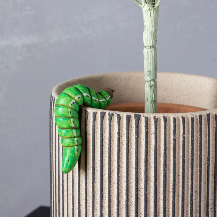 green caterpillar hanging off plant pot