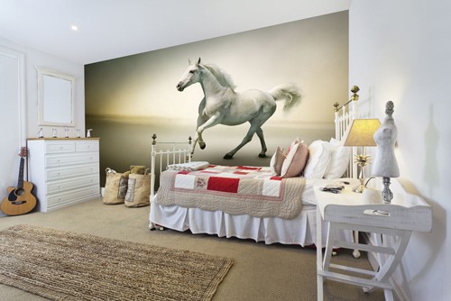 horse galloping wallpaper in teen's bedroom