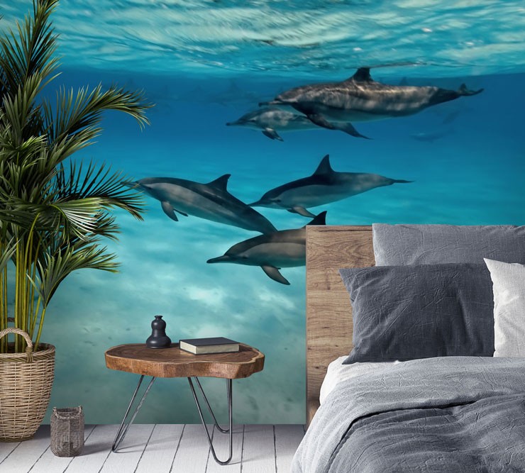 dolphin family photo ocean wallpaper in rustic feel bedroom