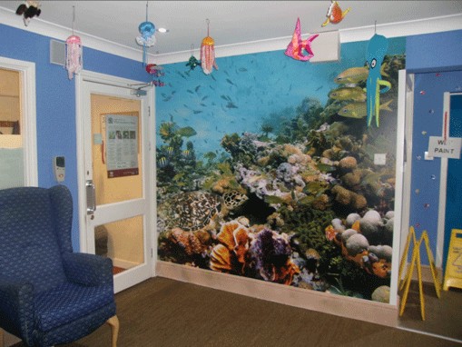 fish and coral wallpaper in waiting room
