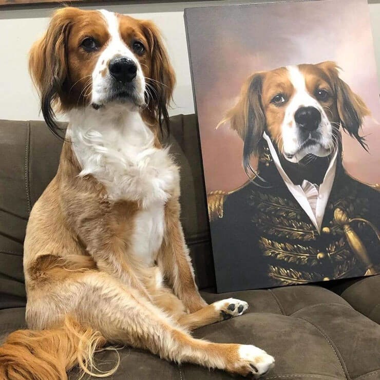 dog sat next to its royal portrait