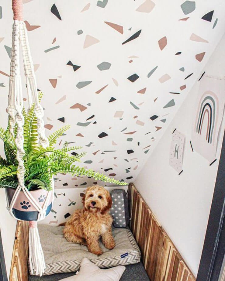 Cute dog in an under the stairs room with terrazzo wallpaper