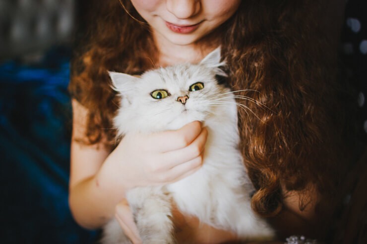 white fluffy cat being cuddled by child owner