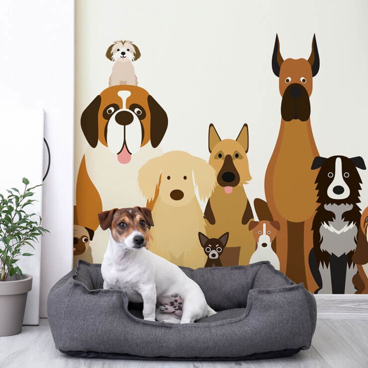 Jack Russel ina grey bed infront of a dog themed mural