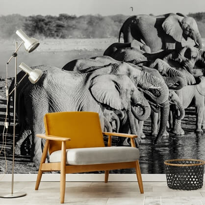 black and white toned elephant herd wallpaper with mustard yellow chair